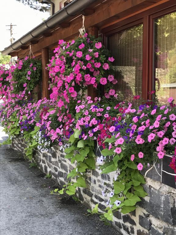 Penzión Holub Tajov Exterior foto